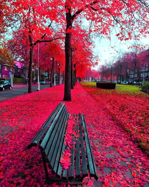 Красивая осень