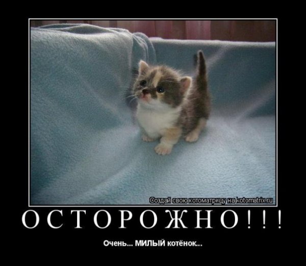 pics