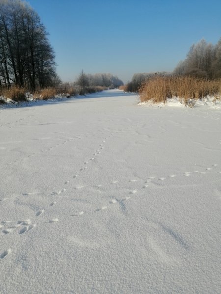 Рыбалка