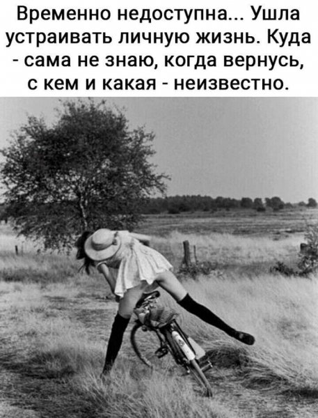 e93019255dd4c5720b303c9ead6a0