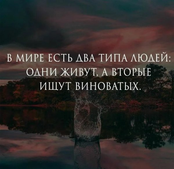 Верные слова!