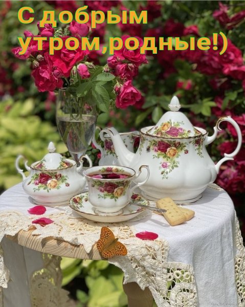 IMG 20211024 103430