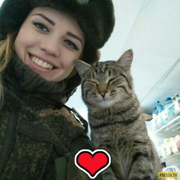 Прикольные фотографии