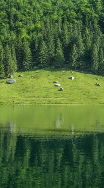 Screenshot 20260122-111324 One UI Home