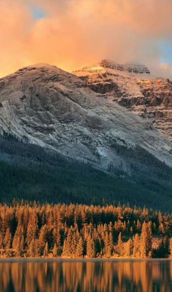 Screenshot 20260306-121928 One UI Home