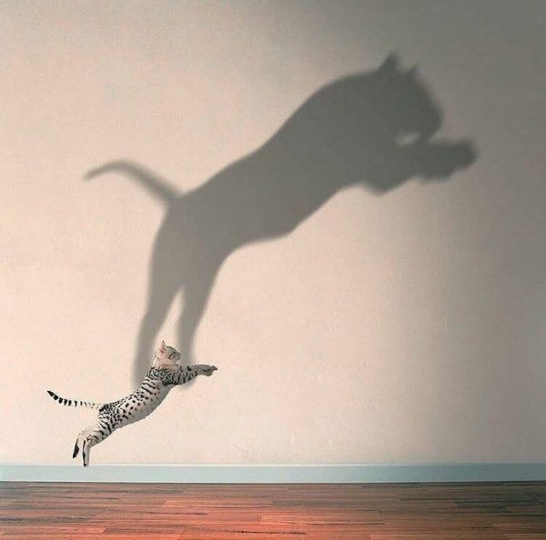 Мечтай о большем