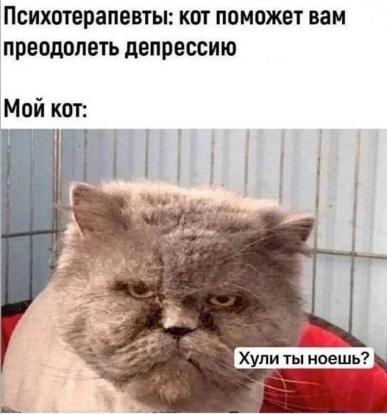 Klbqqnoi