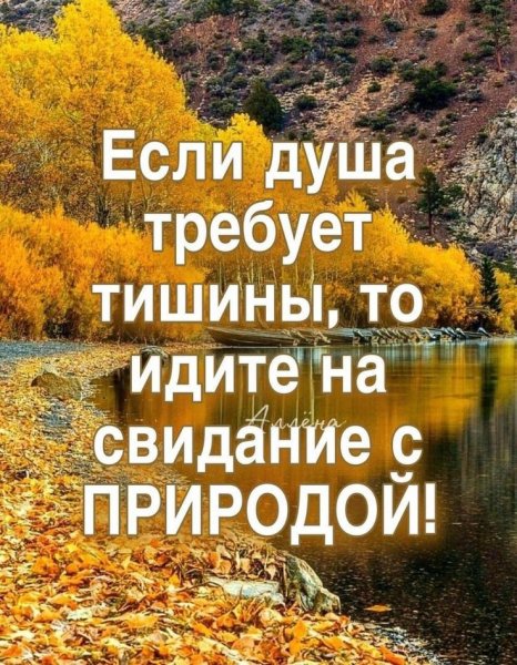 d35254f9a6e0839846fa58a