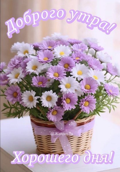 Доброе утро