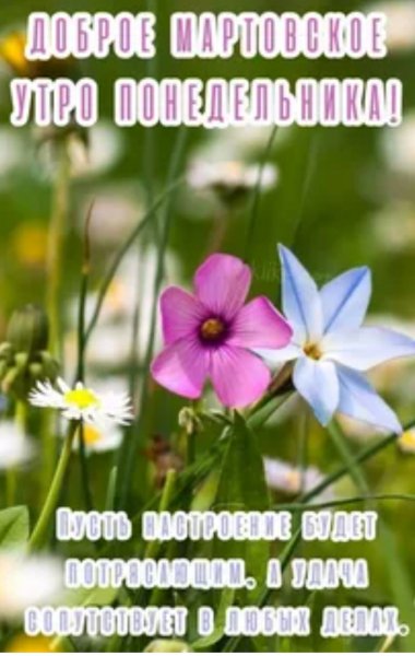 Друзья мои!