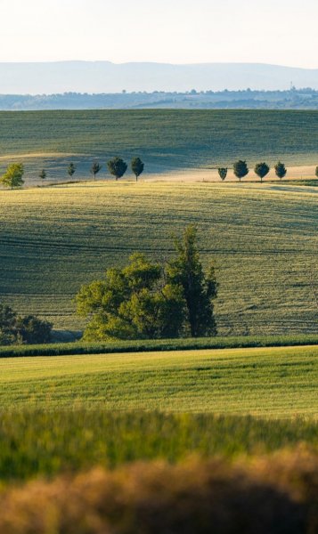 Screenshot 20260306-121918 One UI Home