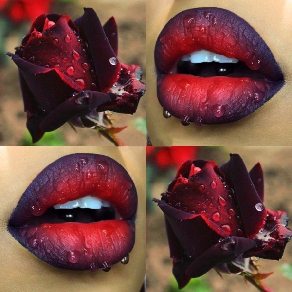 Глубина роз