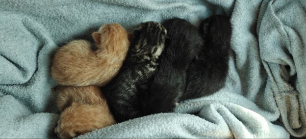 IMG 20260330 204850 331