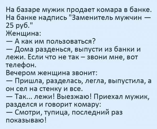 FB IMG 1710527810088