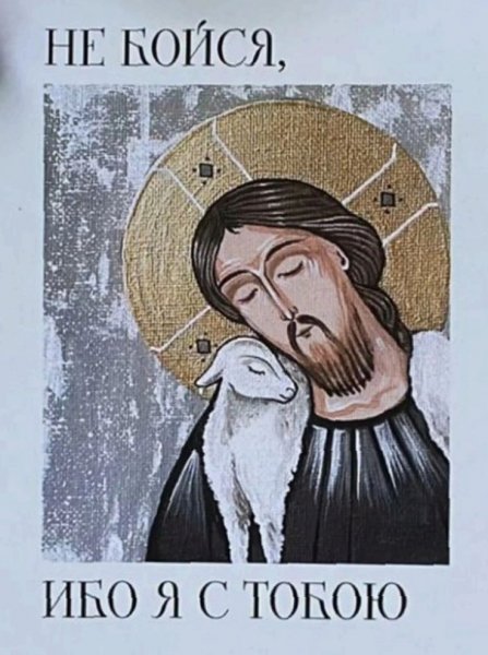 B1572a209f288b84b269d2cf24fbf899