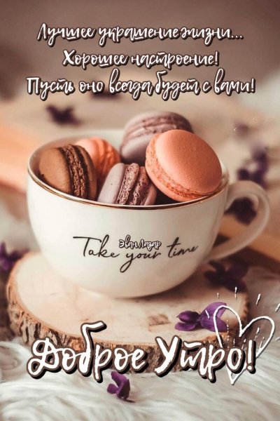 ba3ebf51e887c9e53b13d3ae051fe