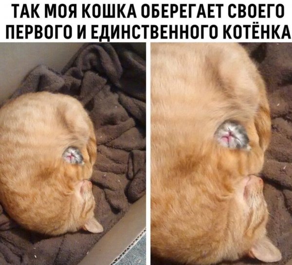 IMG 20250623 190819 557