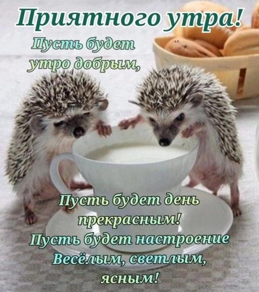 Ee86111b48e4f3a51b5fbc567bd32b73