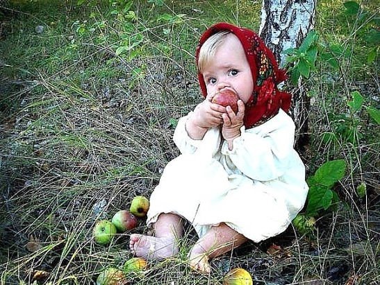 IMG 20160420 231527 61