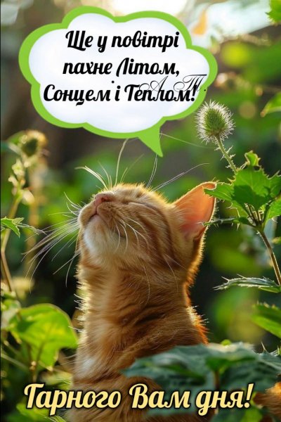 Ще пахне літом