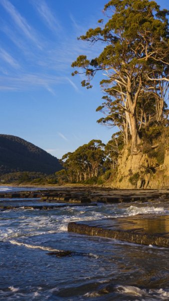 Screenshot 20260326-141820 One UI Home