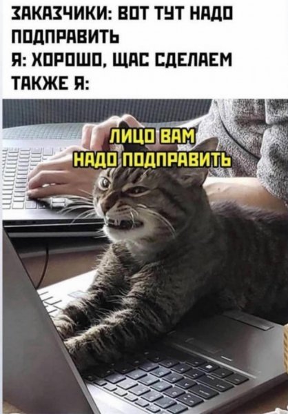 КотЭ)
