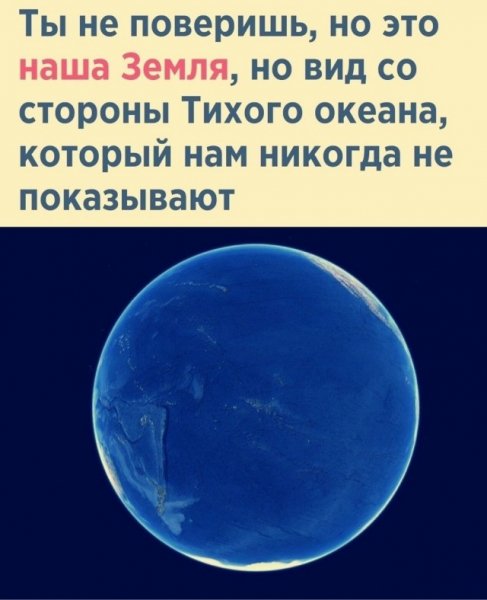 F3880ed6a1 20509333