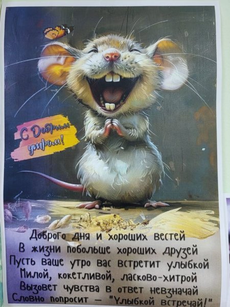 00bea14c977d9e2c54c5cad2ce924427