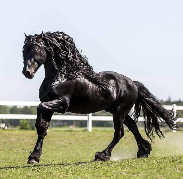 FB IMG 1556880902401