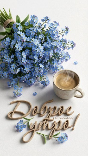 IMG 20260312 004326 368