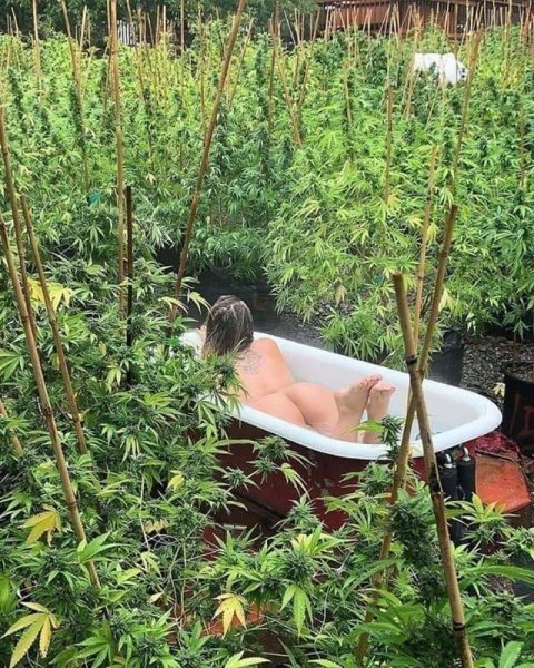 FB IMG 1594804409509