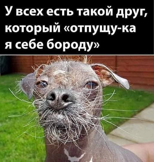 IMG 20250318 192710 047