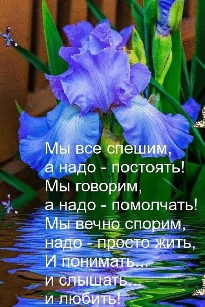 image (3) (10)