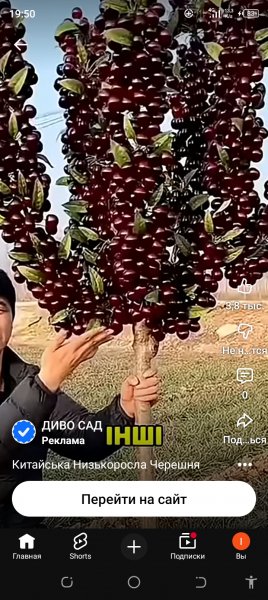 Screenshot 20260409-195047