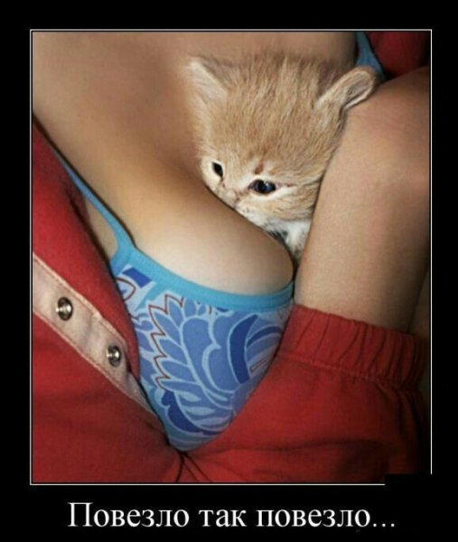 ПОВЕЗЛО ТАК ПОВЕЗЛО