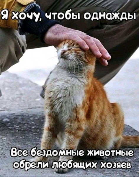 FB IMG 16928108458492310