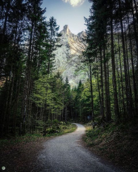 09-49-17-187264306 849954672263533 7046009672950646452 n