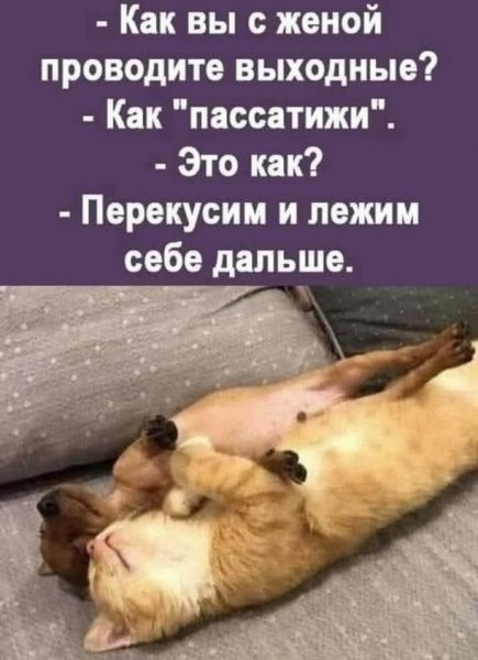 47f47dcbba 19729604