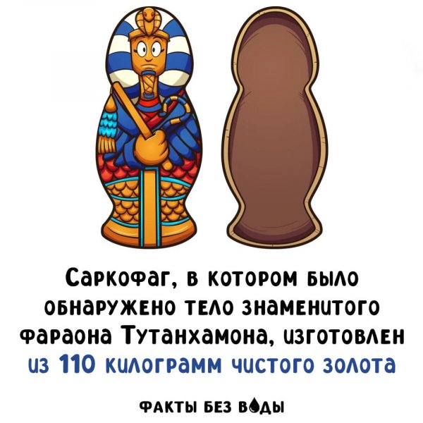 IMG 20251114 165218 496