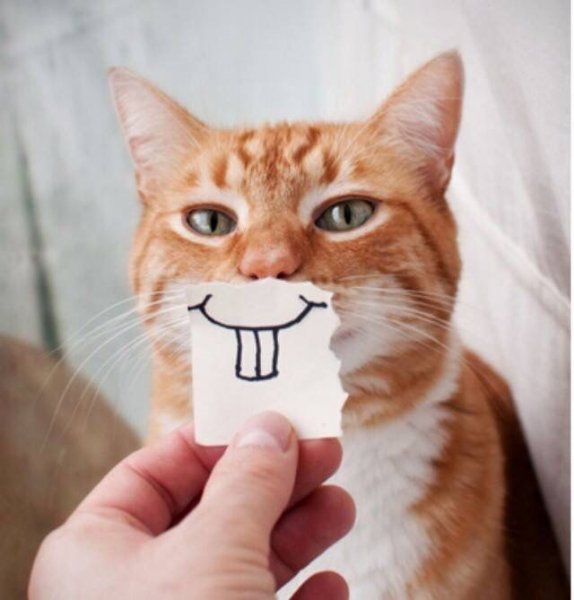 2e9a82debe3fda3884952888d8c7a9c1