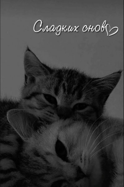 f8157a52b0682d56e105b7b99f0d