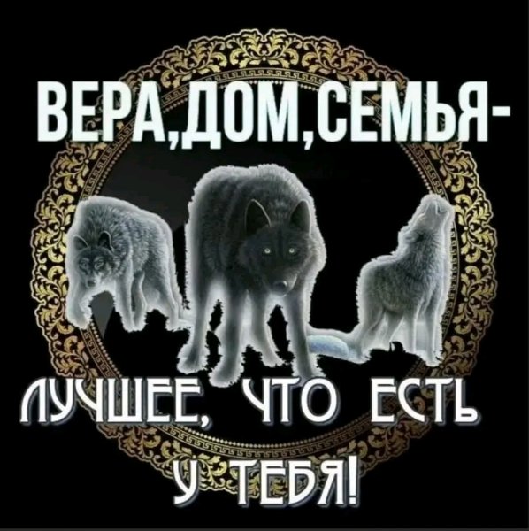 FB IMG 16528819174457211