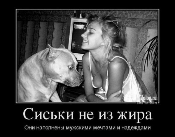 ff0c53e3adfd55ad7f67e5c1b88b4