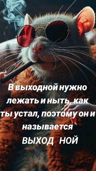 picture_403852300
