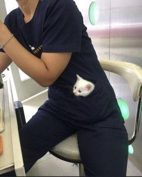 -5373137012695098748 120