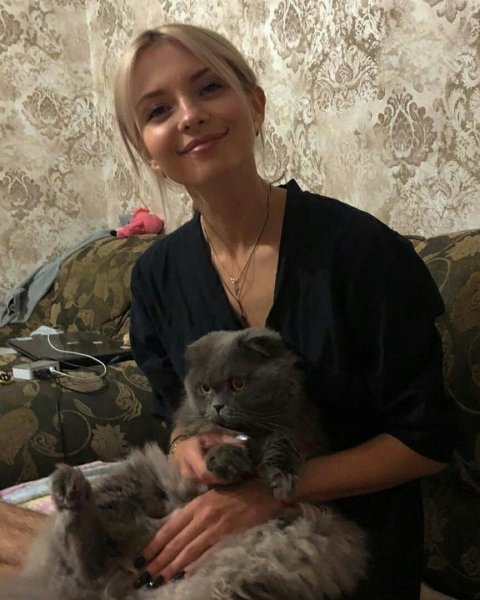 Котик-бегемотик