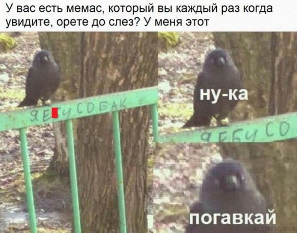 C4eeb81ccf 000000000000000