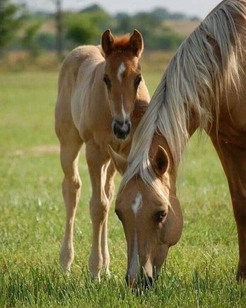 09-26-39-207470498 944363933015320 3837926889882033365 n