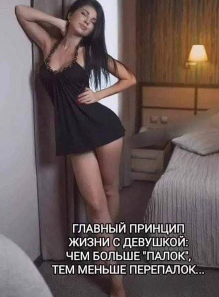 Ju 981 palki kis-