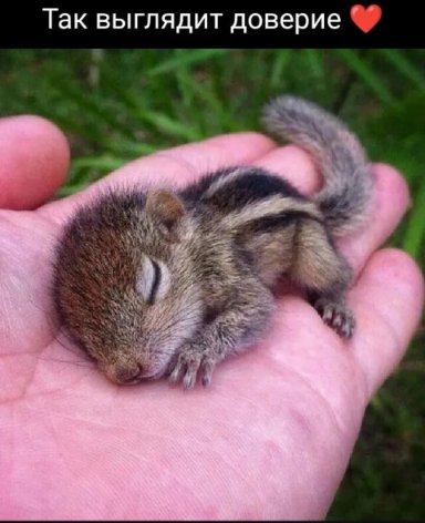 Смешные картинки~53